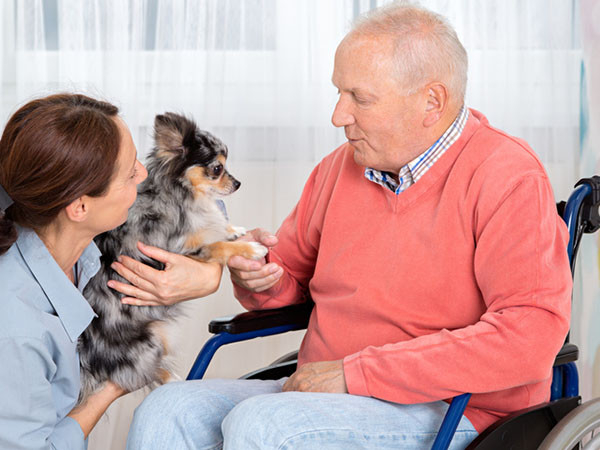 senior man in a wheel chair interacting with a small dog held by a care facility staff member
